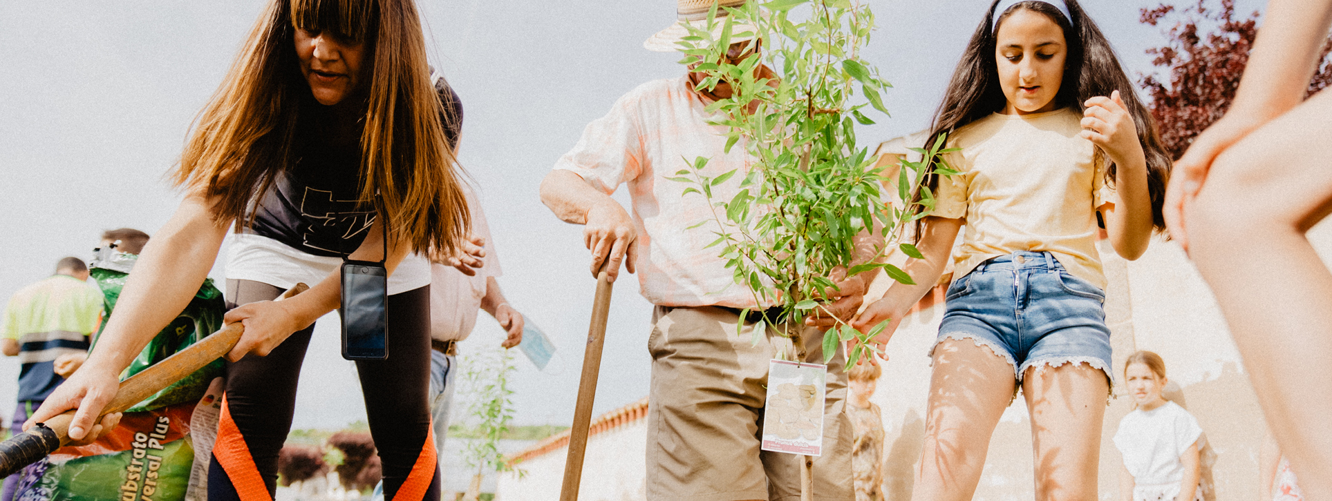 S.V.VT.Invernadero.1927x726px(10)