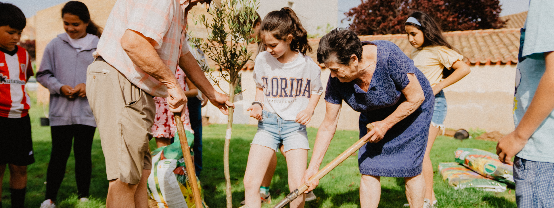 S.V.VT.Invernadero.1927x726px(11)