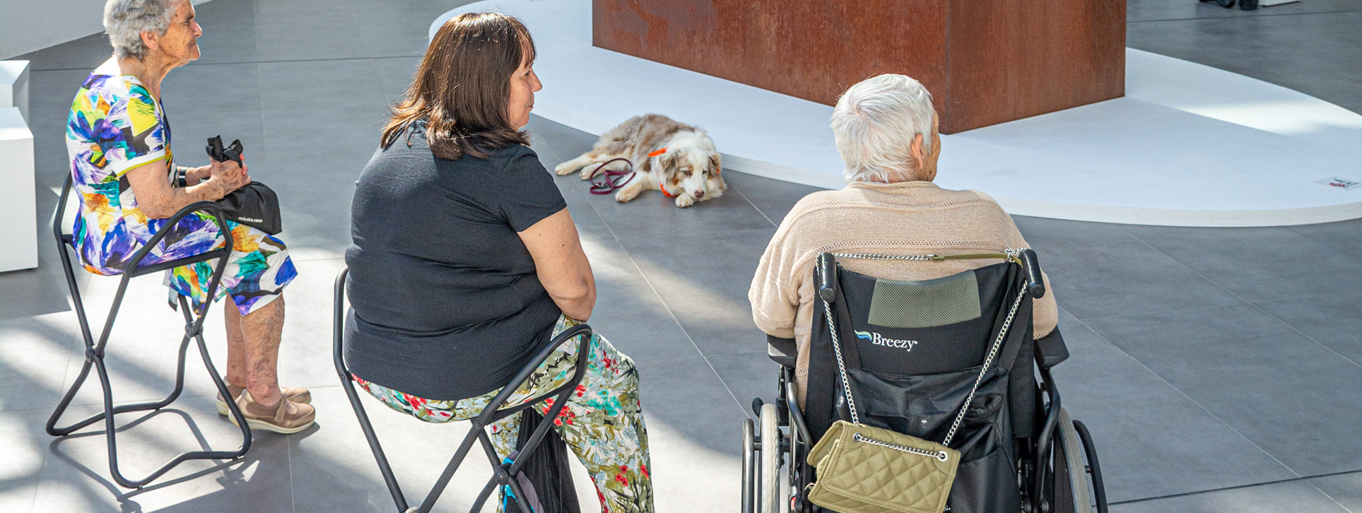 S.VISITA.Visitas y talleres.ACCESIBILIDAD.3-1927x726px