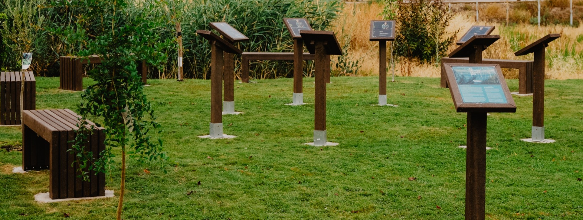 S.V.VT.Invernadero.1927x726px(12)